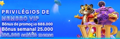 Suporte VIP bet8 - atendimento prioritário